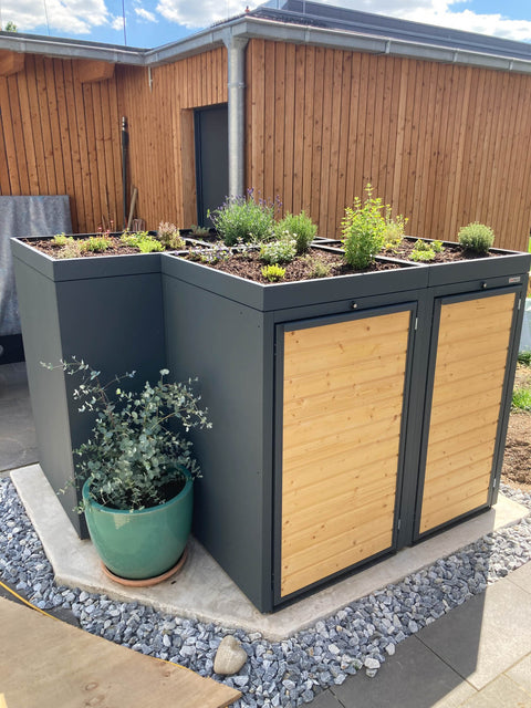 BIO Stefan Holzmichl Mülltonnenbox 2er 120 & 240 l in Anthrazit über Eck neben Olivenbaum im Topf an der Holzfassade